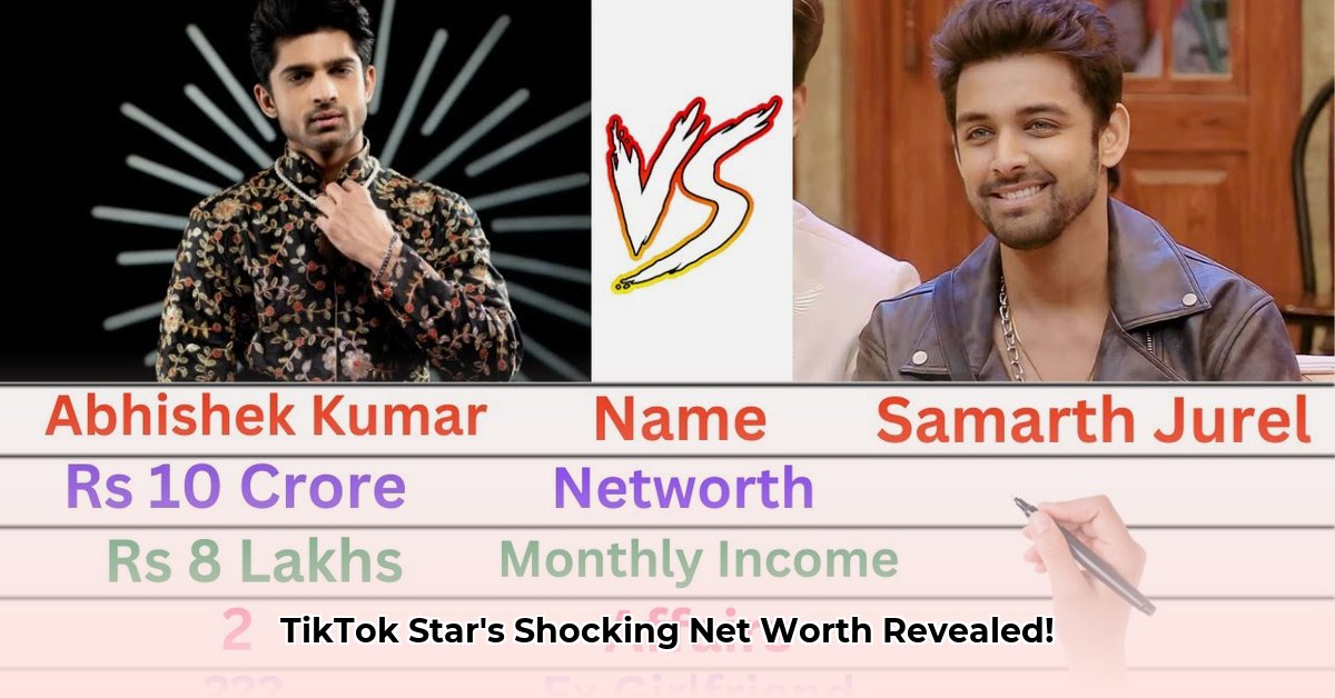abhishek-kumar-net-worth